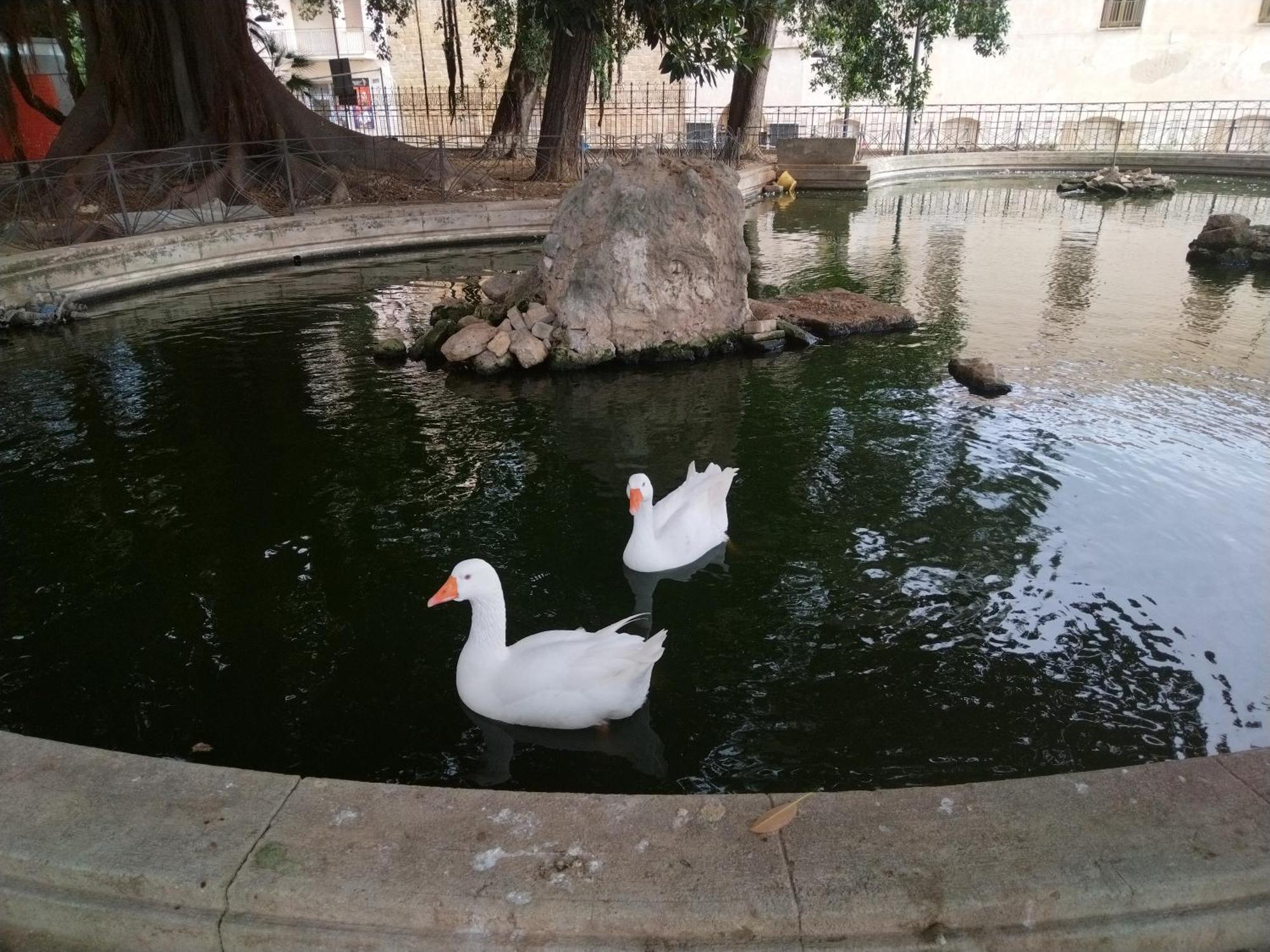 La Casuzza Del Centro Vila Sciacca Exterior foto