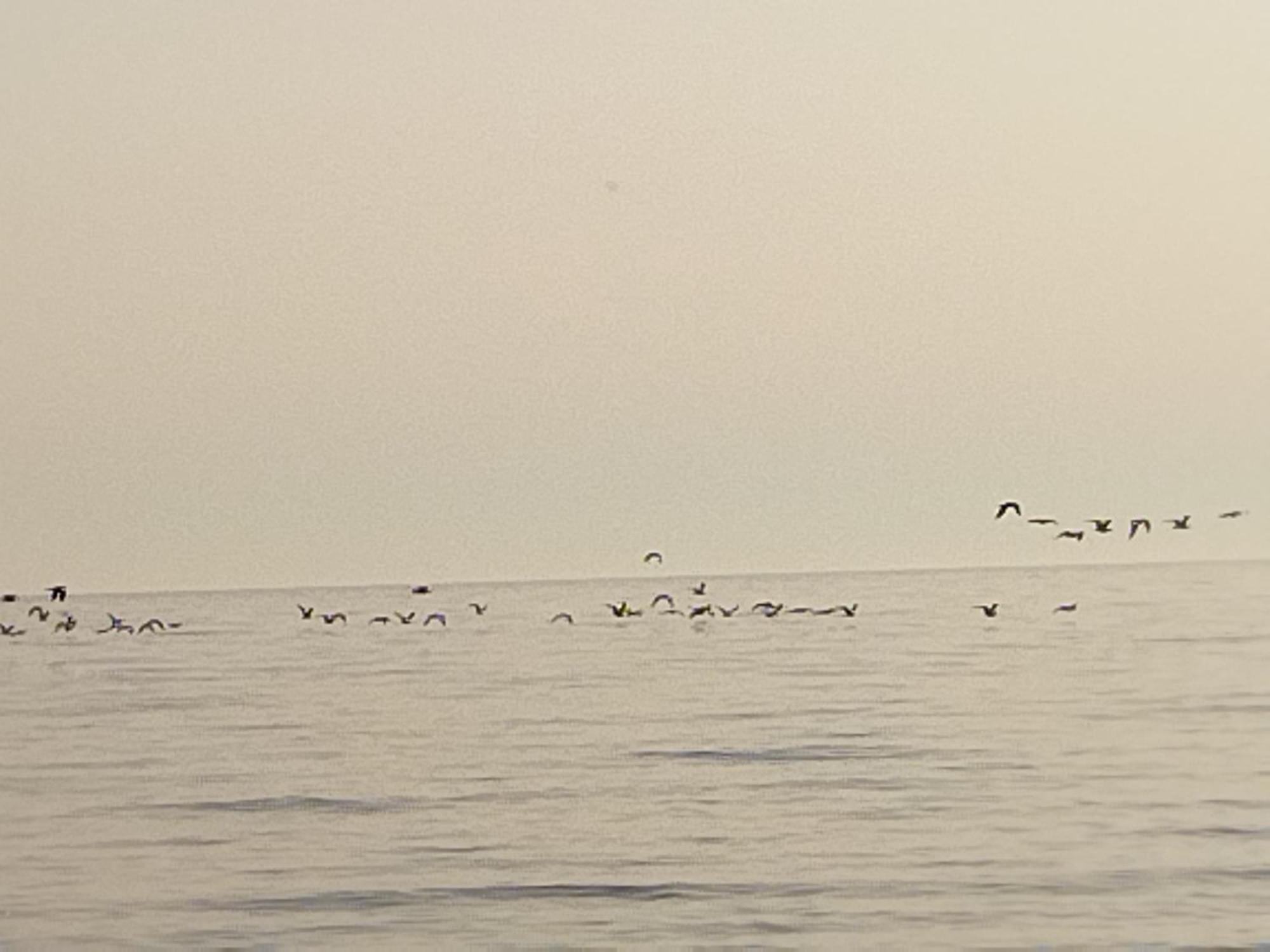 La Casuzza Del Centro Vila Sciacca Quarto foto